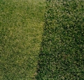AplicacionEnCampos